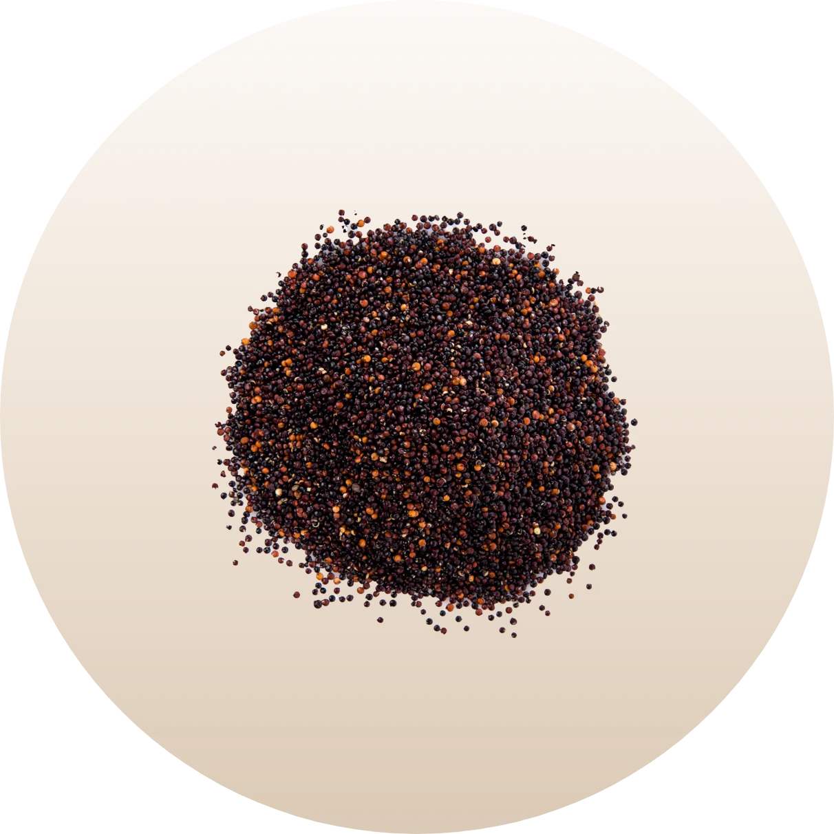 Mustard Seeds