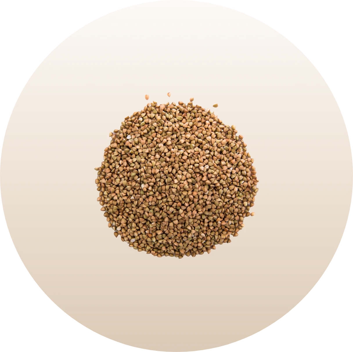 Fenugreek Seeds