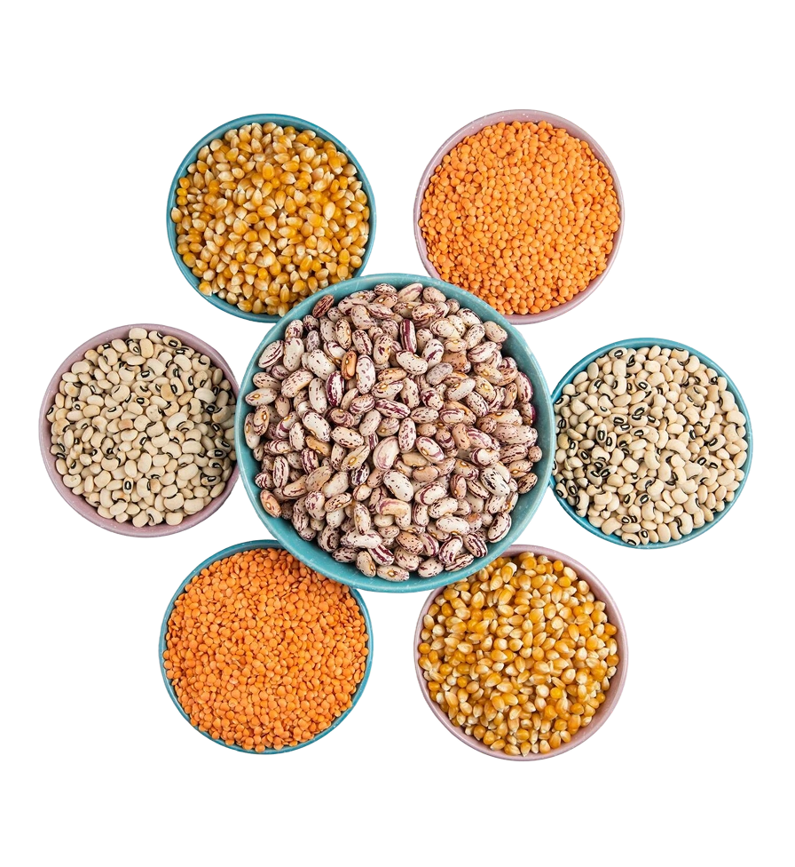 Quick and Easy Instant Food Mixes