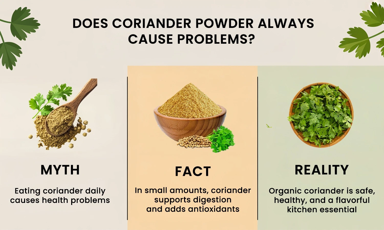 coriander powder side effects