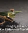 Gingelly Oil vs Sesame Oil: Key Differences You Must Know