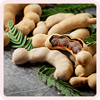Tamarind