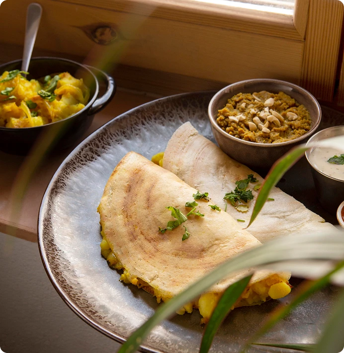 Find Vegetarian Recipes