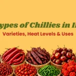 types of chillies
