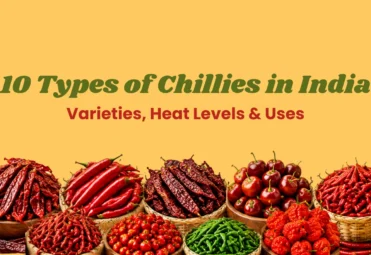 10 Types of Chillies in India_ Varieties, Heat Levels & Uses types of chillies