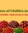 10 Types of Chillies in India: Varieties, Heat Levels & Uses