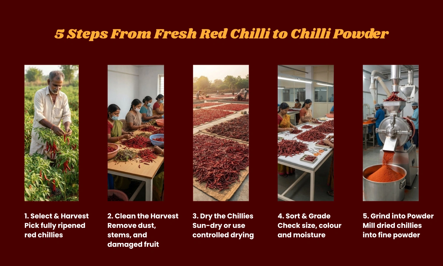 Fresh Red Chilli