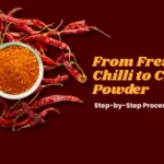 Fresh Red Chilli