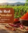 Organic Red Chilli Powder: Benefits, Price, and How to Choose the Best One