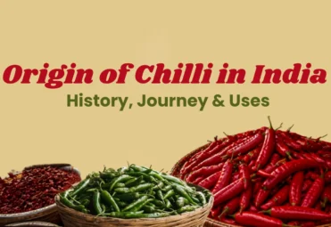 Origin of Chilli in India_ History, Journey & Uses origin of chilli in india