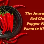 red chilli pepper