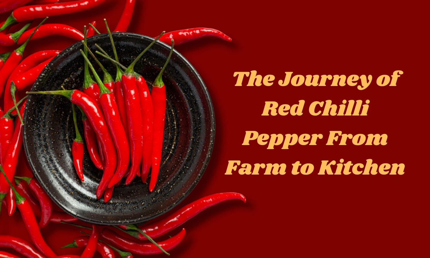 red chilli pepper